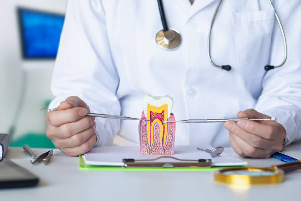 Best Weekend Emergency Dentist in Lincolnwood, IL